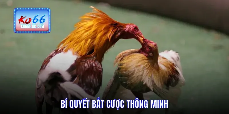 Bí quyết bắt cược thông minh