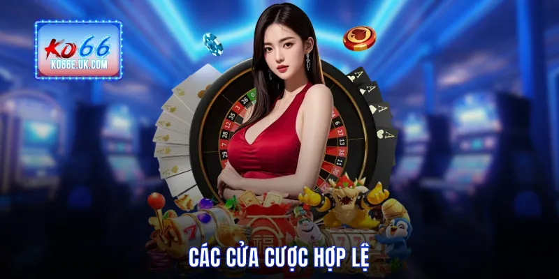 Các cửa cược hợp lệ