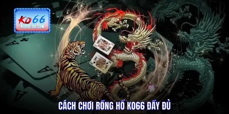 Cách chơi Rồng Hổ KO66 đầy đủ
