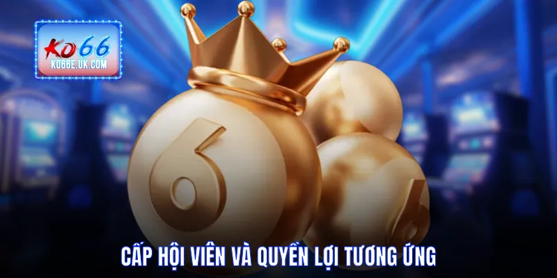 Cấp hội viên và quyền lợi tương ứng