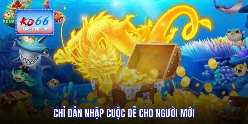 Chỉ dẫn nhập cuộc dễ cho người mới