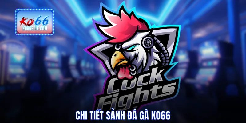 Chi tiết sảnh đá gà KO66