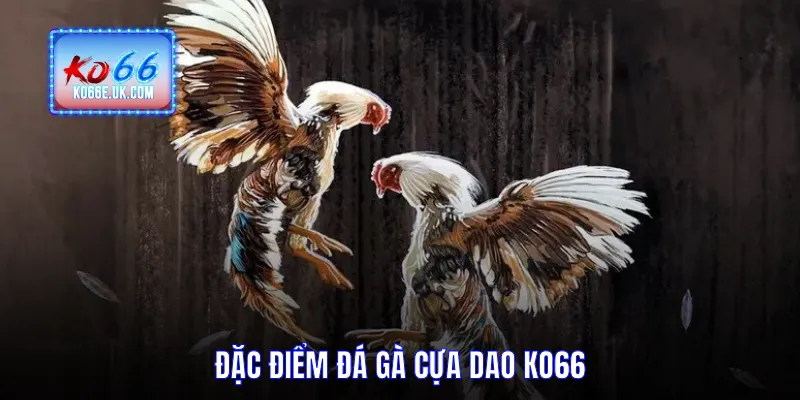 Đặc điểm đá gà cựa dao KO66