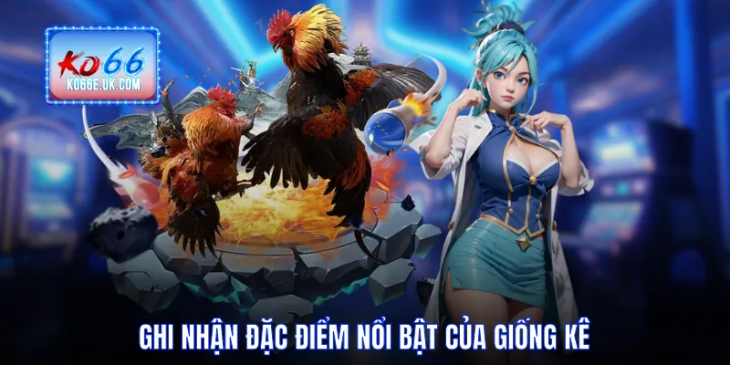 Ghi nhận đặc điểm nổi bật của giống kê