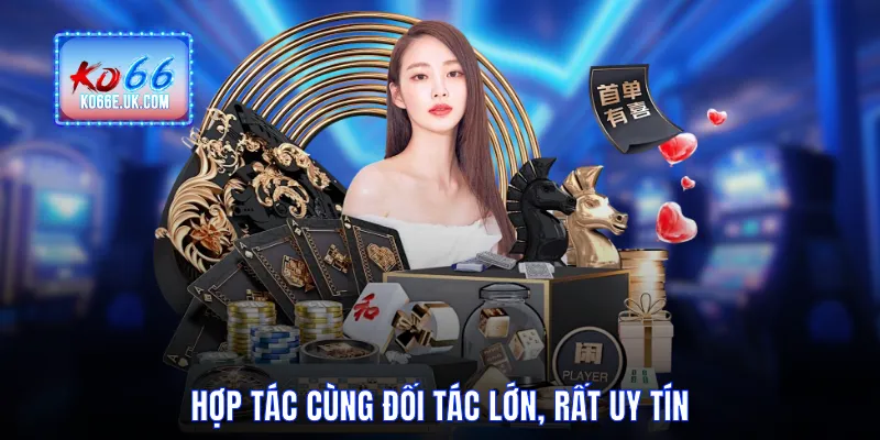 Hợp tác cùng đối tác lớn, rất uy tín