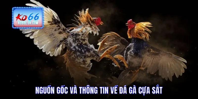 Nguồn gốc và thông tin về đá gà cựa sắt