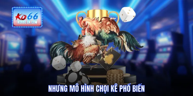 Những mô hình chọi kê phổ biến
