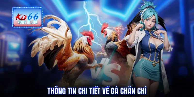 Thông tin chi tiết về gà chân chì