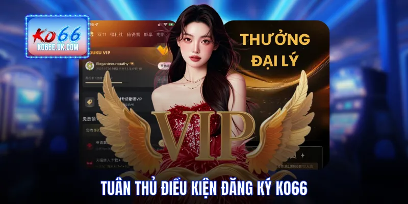 Tuân thủ điều kiện đăng ký KO66
