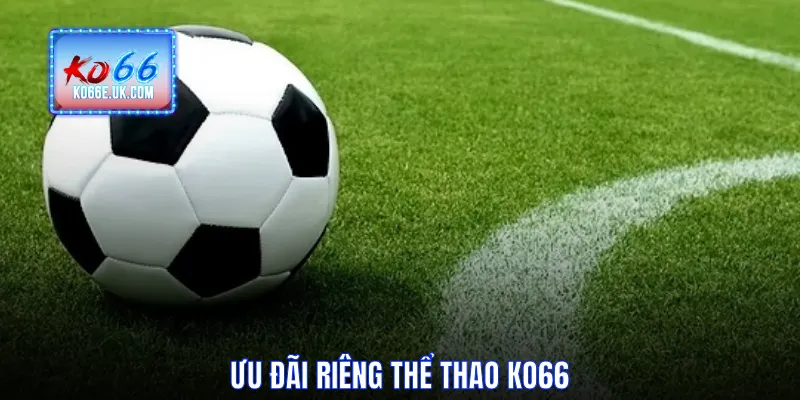 Ưu đãi riêng thể thao KO66